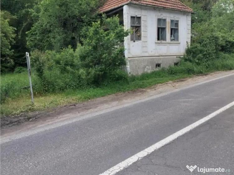 Domeniu verde autentic, 5.000mp, front la DJ, Valcele, Bra - 7