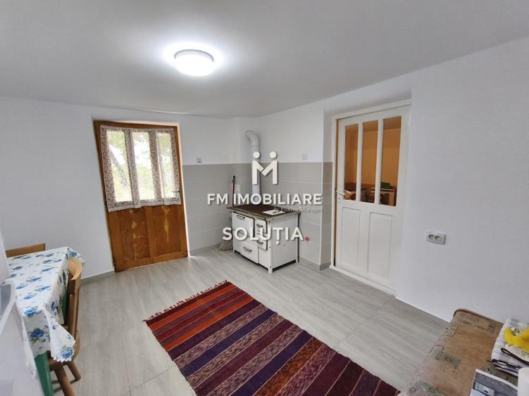 Casă P+1 de vânzare în Cicârlău – zonă superbă, 11 ari teren! - 9