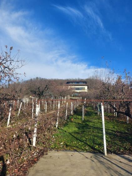 Vila Individuala - Piscina - Livada - Teren 1871 MP - 1