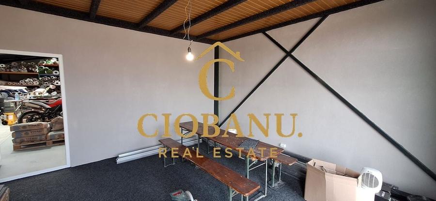 Hala de vanzare in Racari de Jos - 7