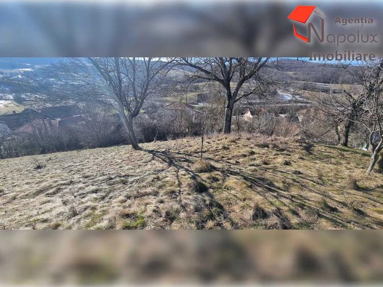 Teren de exceptie 3,1 ha intravilan | Panorama, utilitati, acces dublu | Sardu - 3