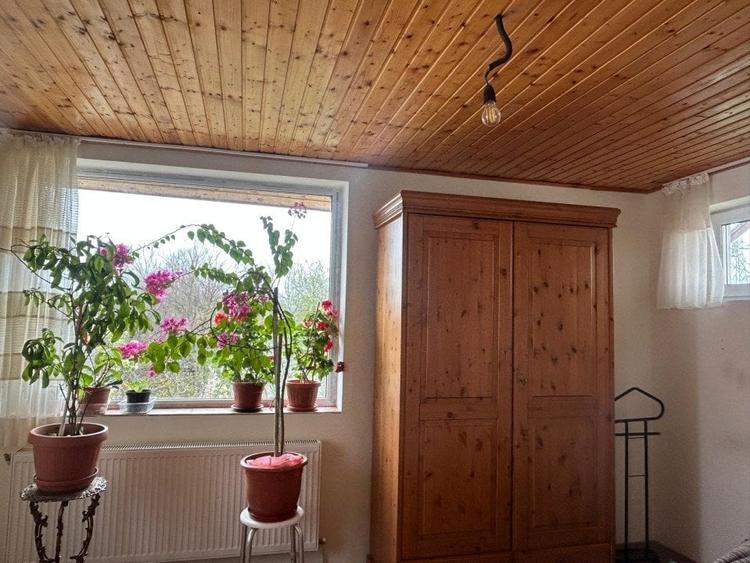 Casa + teren -centrala proprie -Cornetu -Ilfov - 10