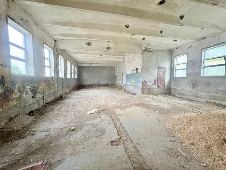 Teren in mijlocul padurii Valu lui Traian 1875 mp si cladire 450 mp hala - 7