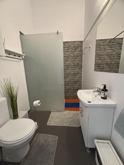 Apartament cu o camera în clădire istorică ,zona Maria - 7
