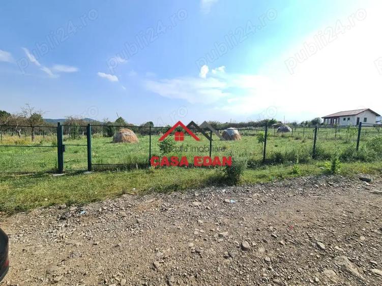 Teren intravilan in Campina, 7500mp--35e - 6