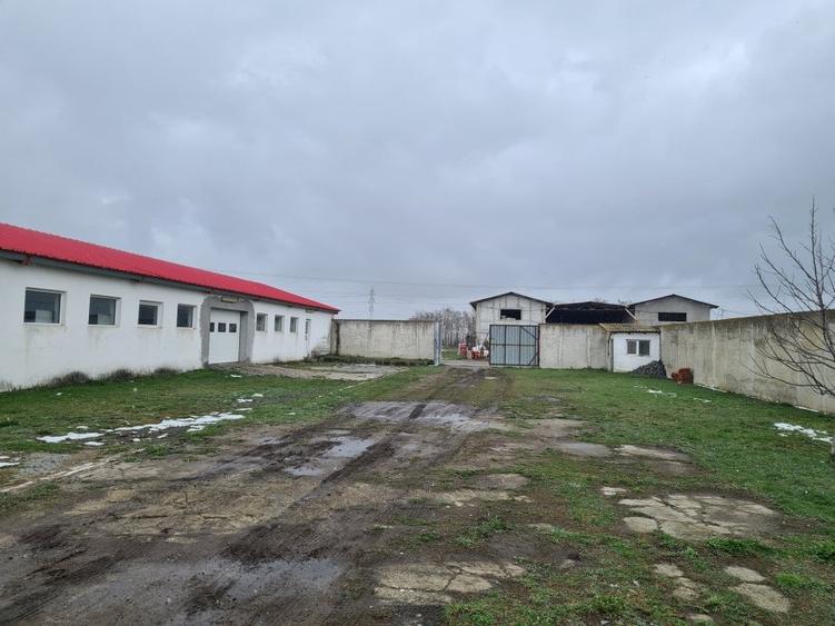 Oportunitate Unica: Teren Intravilan cu Hală de productie și Casă Modernă - 17
