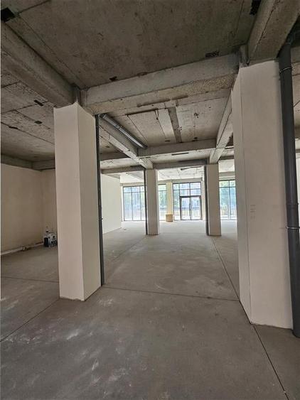 Spatiu Comercial - 170 mp - Balanta - Clinica Medicala - Showroom - Comert - Ser - 10