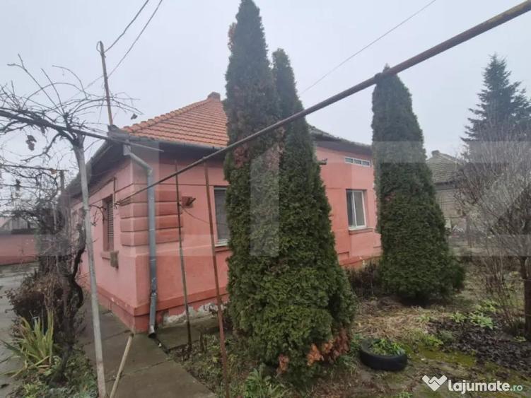 Casa 4 dormitoare, 190 mp, 1306 mp teren, zona Careiului - 5