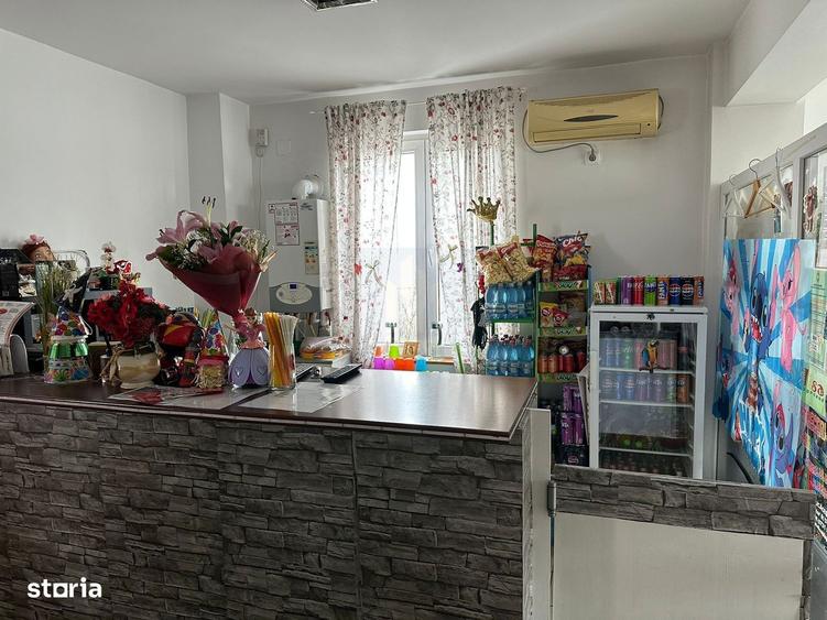 Casa 10 Camere | P+2+M | Vanzare | Investitie *Crangasi* - 19