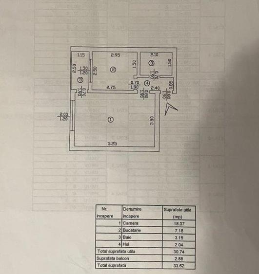 Apartament de 1 camera, decomandat, zona Nicolina - 8