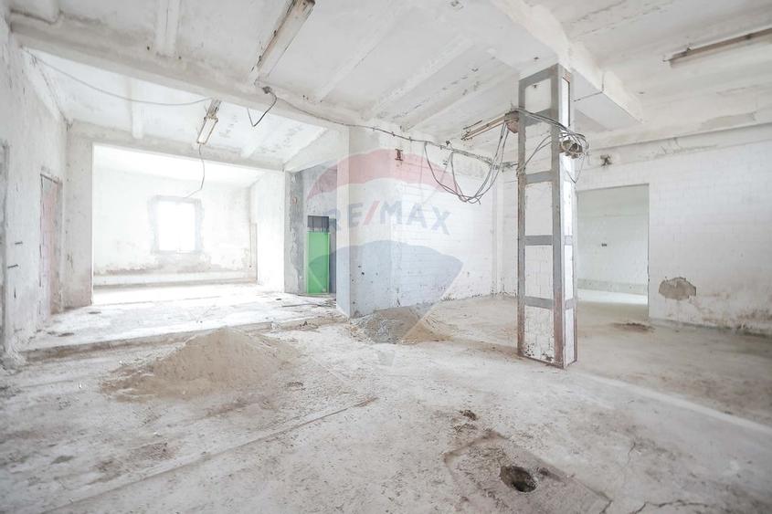 Teren 5674mp si constructii de vanzare, Tilecus - 10