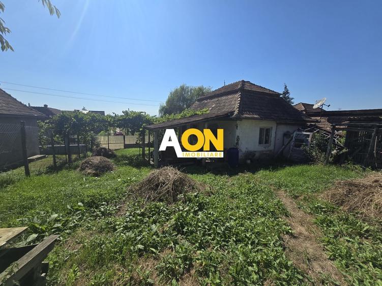 Comision 0%! Casa 3 camere Gura Ariesului, 1500mp Teren - 2