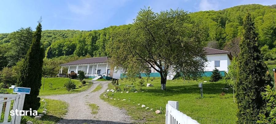 Proprietate speciala in Bran-Predelut cu 2 case - priveliste 180* - 3