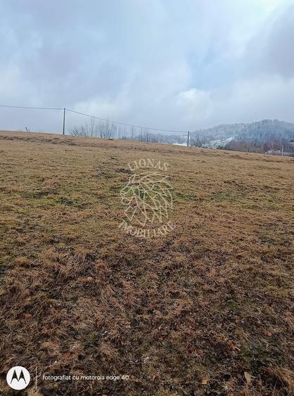 COMISION 0 TEREN TURISTIC EXTRAVILAN APROAPE DE PADURE SACUIEU VLADEASA CLUJ - 3