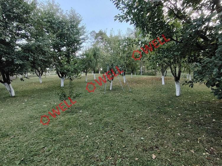 Casă unică de vânzare în Valea Crișului! - 10