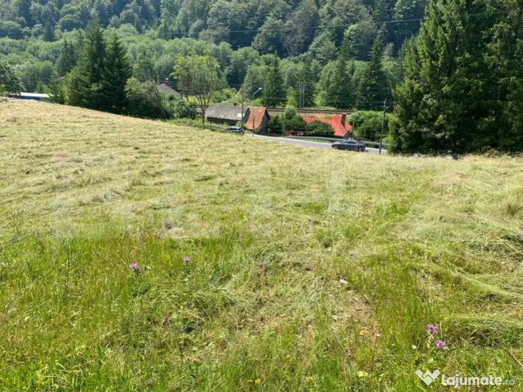 Oportunitate de Investi?ie: Teren de 10.000 mp la Intrarea - 8