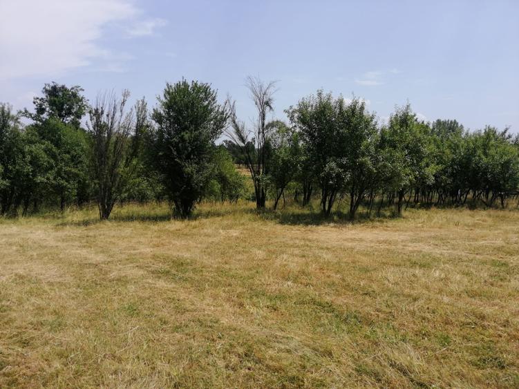 Teren Tismana - sat Gornovita - 4