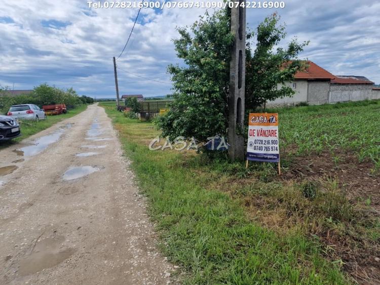 Teren Intravilan (7500 mp),situat in Balesti - Tamasesti - 5