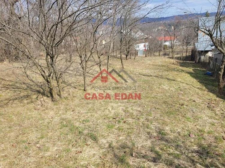 Teren intravilan in Poiana Campina --3676 mp--8e - 13