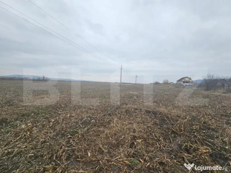 Teren extravilan 9000 mp, Ocna Mures - 3