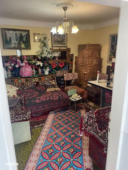 Casa 89 mp + teren 2298 mp intravilan si 2941 mp extravilan Negoiesti - 15