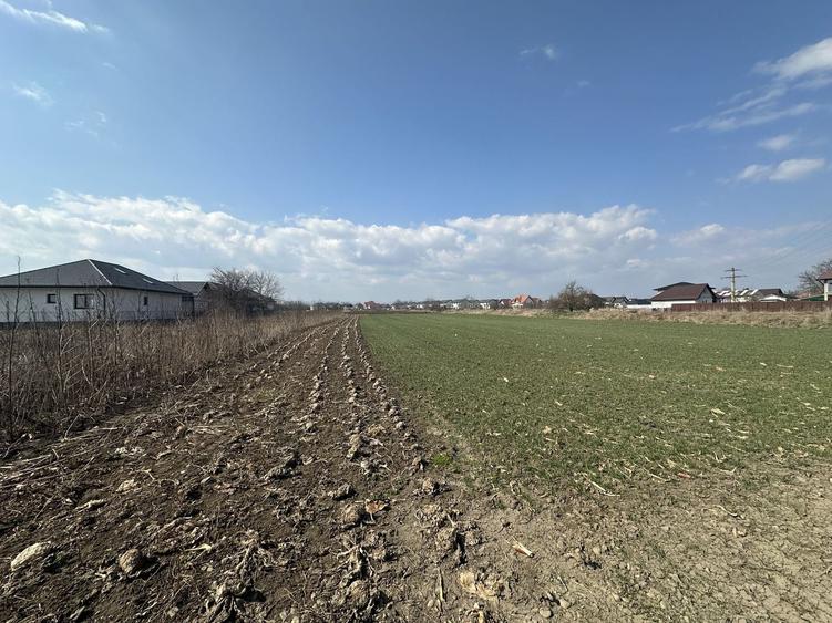 Teren intravilan 20 ari | Rădăuți | Front stradal 19.49 m - 2