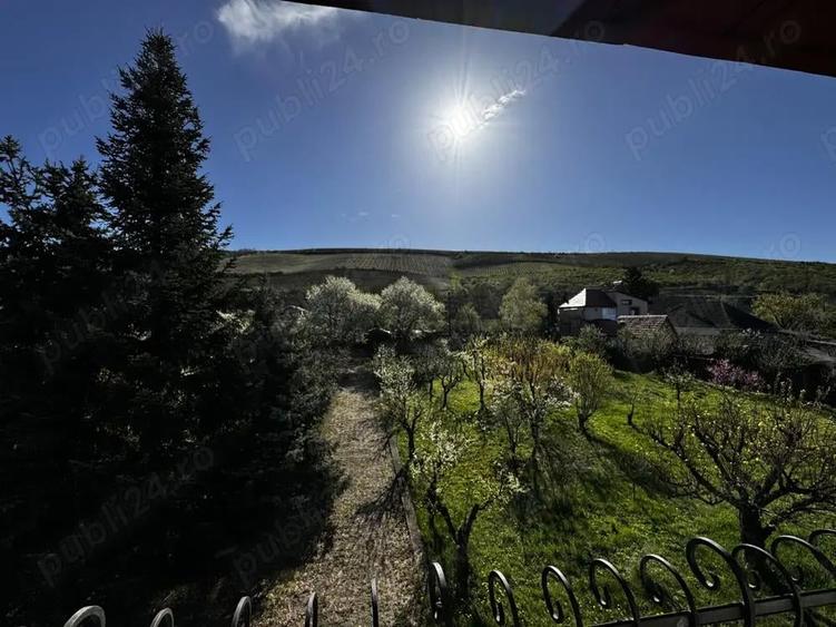 Vila cu livada Paulis, Arad - 15