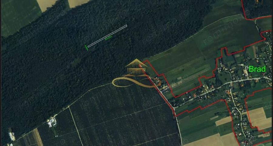 Teren extravilan - Padure de vanzare in Beresti Bistrita - 4