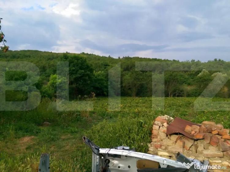 4700 mp teren intravilan - Rascruci - EXCLUSIVITATE - 3