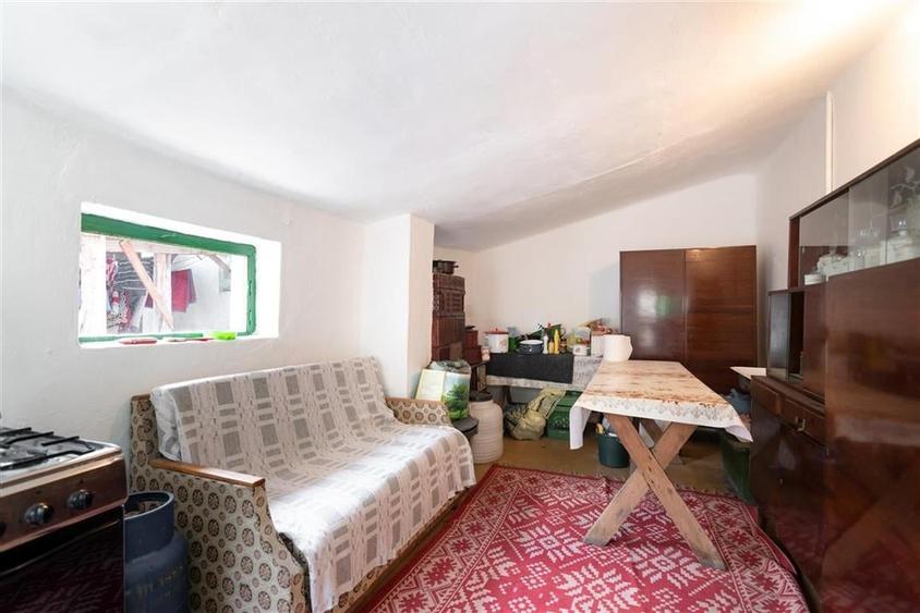 Teren mare cu 2 case si front la 2 strazi in Tamaseu - 20