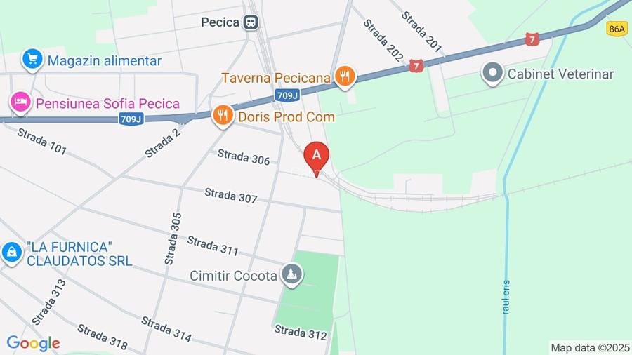 Casa de vânzare în Pecica