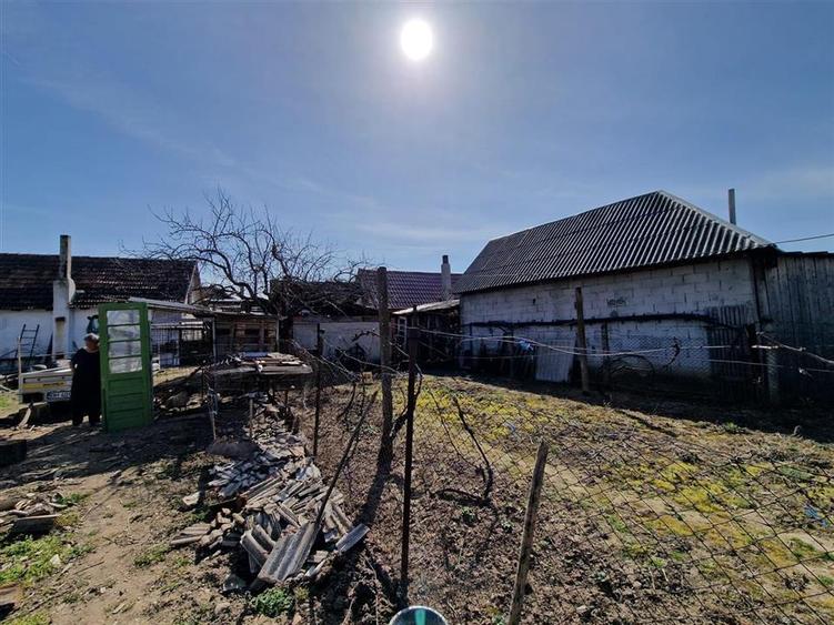 RECO Teren mare cu 2 case in Sabolciu, com. Sacadat - 22