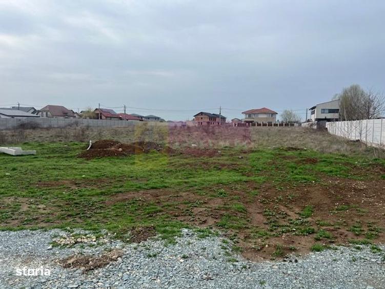 Teren Domnesti- Drumul Targului. - 1
