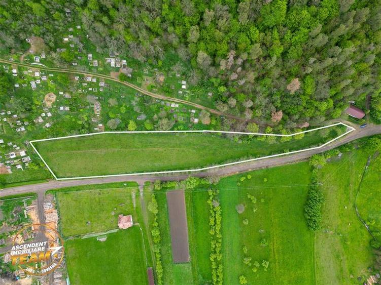 6.500 mp teren intravilan, la 10 min de orasul Covasna: Papauti - 4