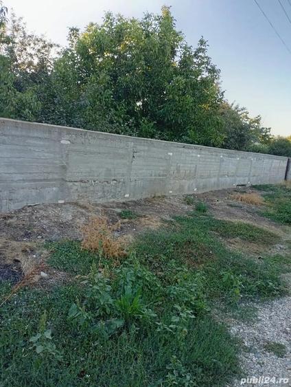 Casa cu gradina mare de inchiriat - 10