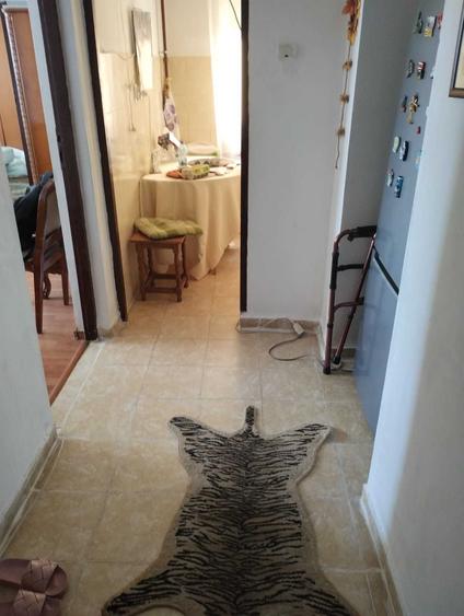 2 camere Pantelimon 40 mp Spital Sf. Pantelimon 350 /luna - 4