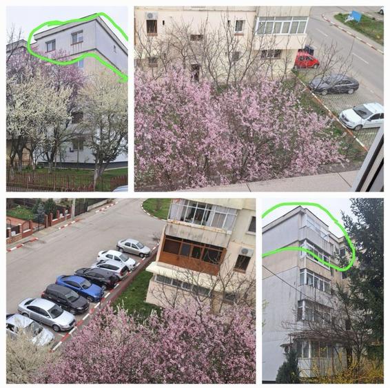 Vand apartament 3 camere - 3