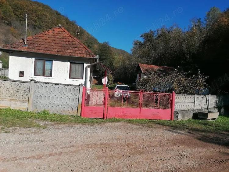 Casa de vanzare + teren si padure - 9