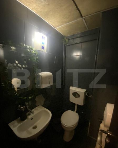 Cladire comerciala, 377 mp, zona Bulevardul Gheorghe Chitu - 2