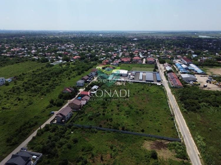 Teren Mogosoaia -  6.000 mp - PUZ aprobat pentru vile P+1E