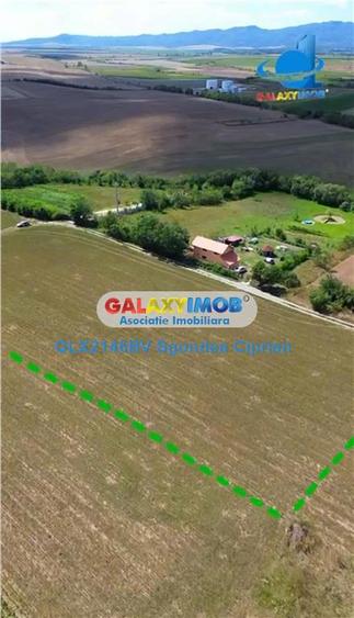 Teren De Vanzare Feldioara Utilitati In Apropiere - 5