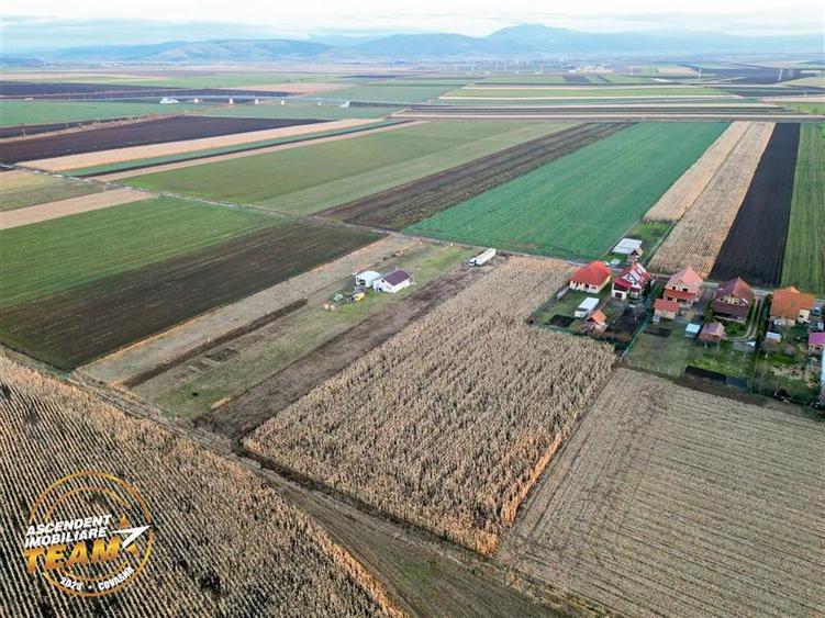 FILM! Teren mixt, 2.493 mp, Chilieni, judetul Covasna - 4