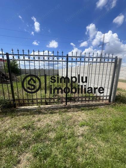 Teren Intravilan Damila - 4