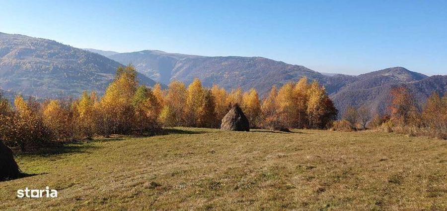 Vand teren intravilan la Muntele Rece - 8
