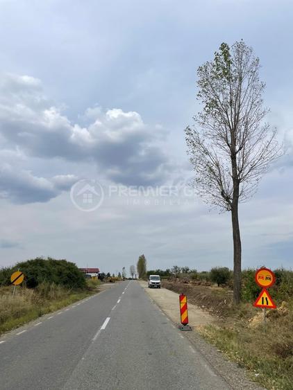 Teren 7.000mp, Miroslava - Liliac - 7