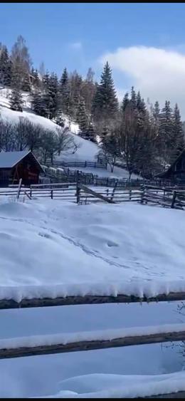 DIRECT PROPRIETAR Atractiv pentru pensiune/casa de vacanta): Teren de Poveste la Munte 6.000 mp Intravilan + 6.000 mp Extravilan,Dorna Arini-Ortoaia - 2