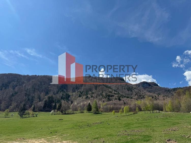 Terenuri Bran - Predelut  Priveliște către Bucegi și Postăvaru - 15