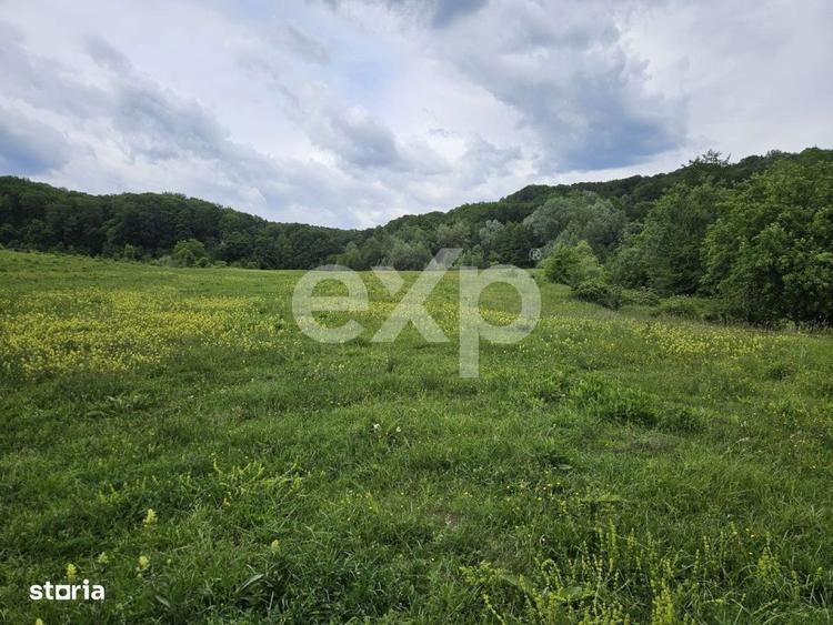 Teren 11,935mp Margineni / Strada Dubas - 5