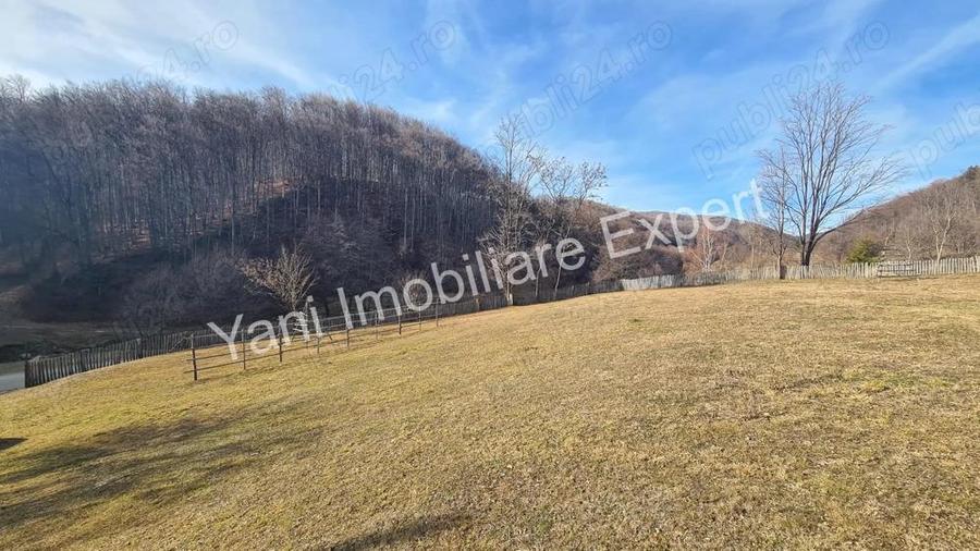 Teren de vanzare in comuna Cicane?ti, Jude? Arge?. - 16