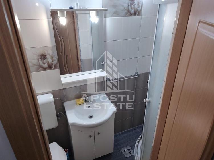Apartament 2 camere , renovat , Zona Tipografilor - 10